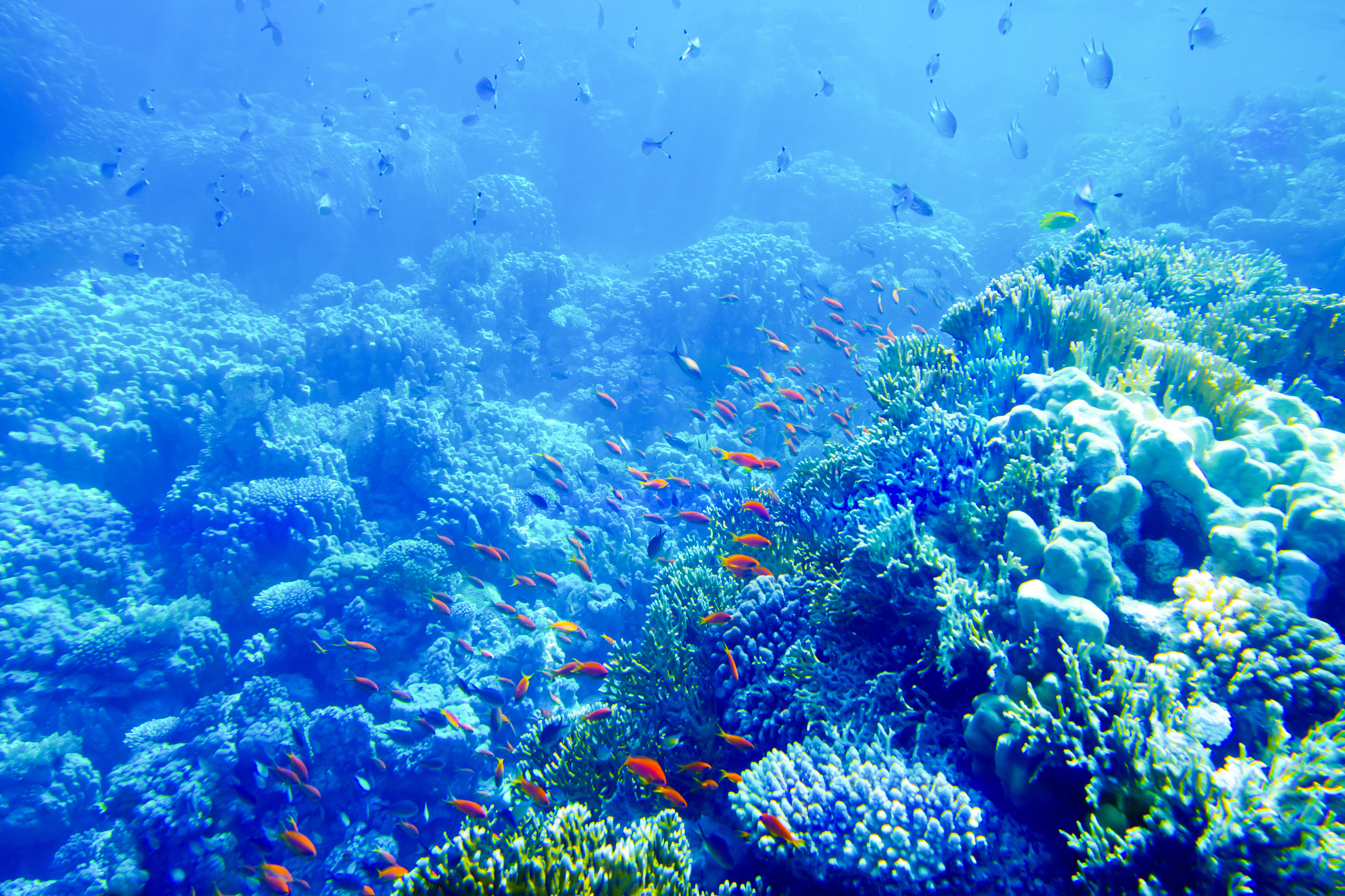 Ocean pH Time Series
