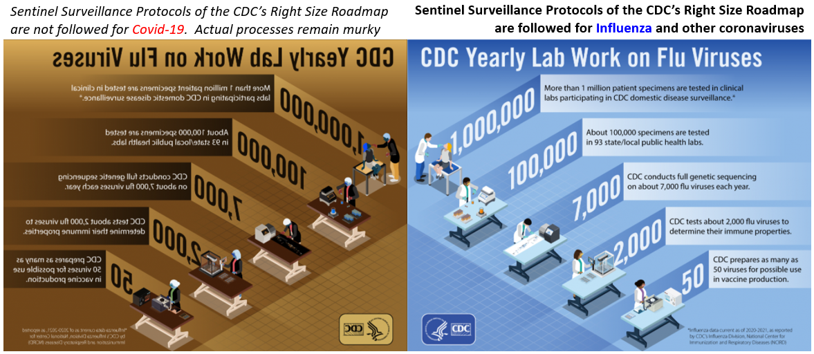 RSR memories: Influenza vs Covid-19 and their progeny